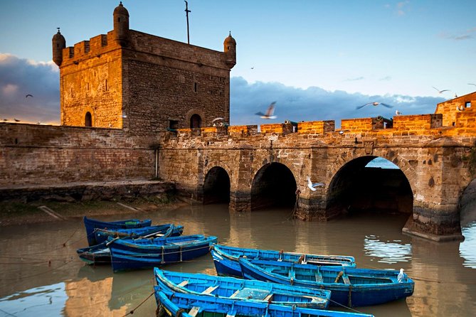 Explore Essaouira on a Day Trip from Marrakech - Who will enjoy this day most