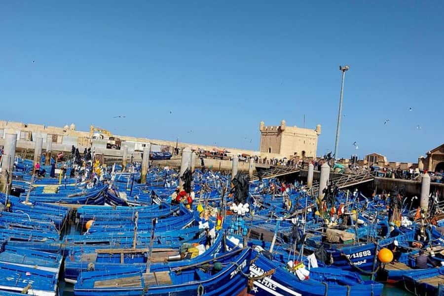 Explore Essaouira's Secrets: A Guided Tour with a Local! - Key points to know before booking