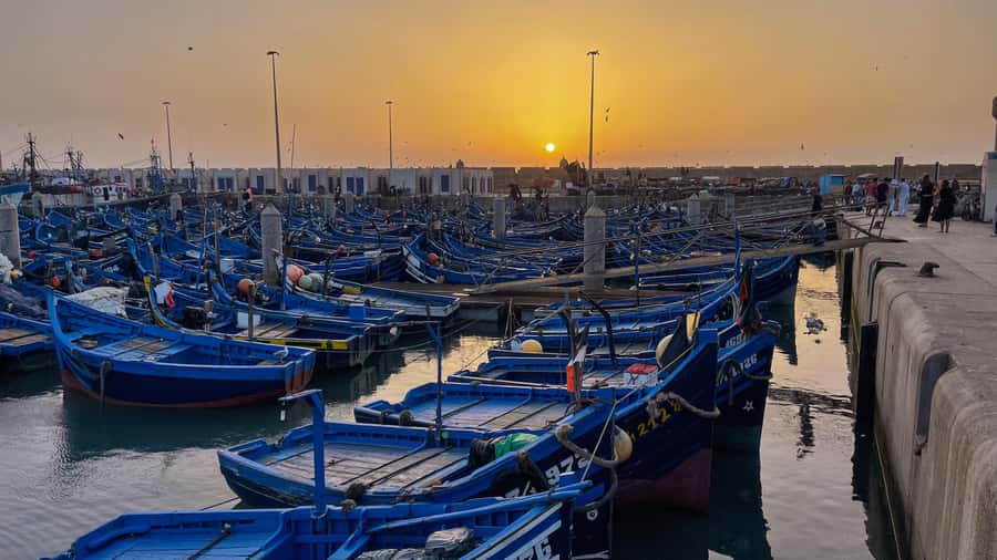 Explore Essaouira's Secrets: A Guided Tour with a Local! - Walking the UNESCO medina