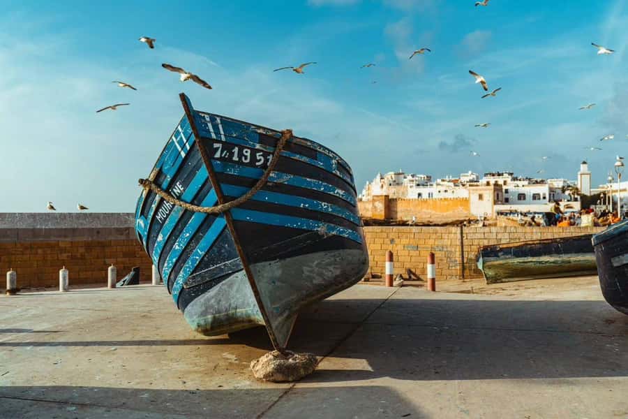 Explore Essaouira's Secrets: A Guided Tour with a Local! - Seafood lunch in the medina