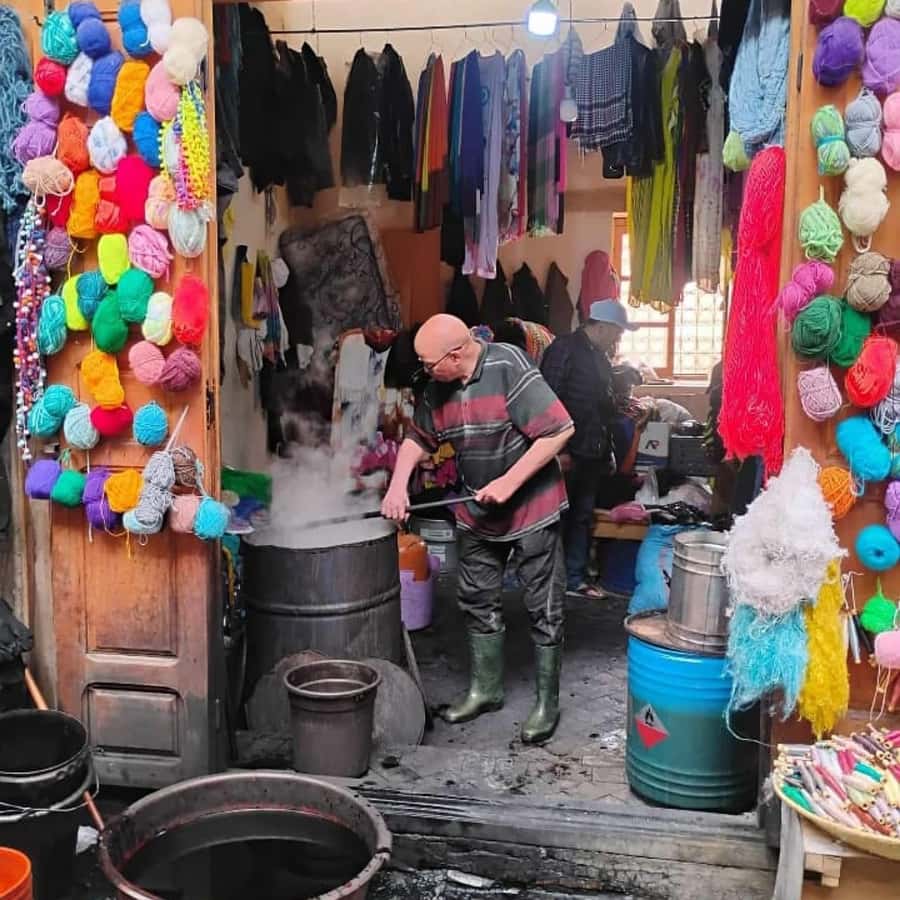 Explore Fes: Unforgettable Guided Walking Tour of the Medina - The Medina walk: souks, lanes, and daily life