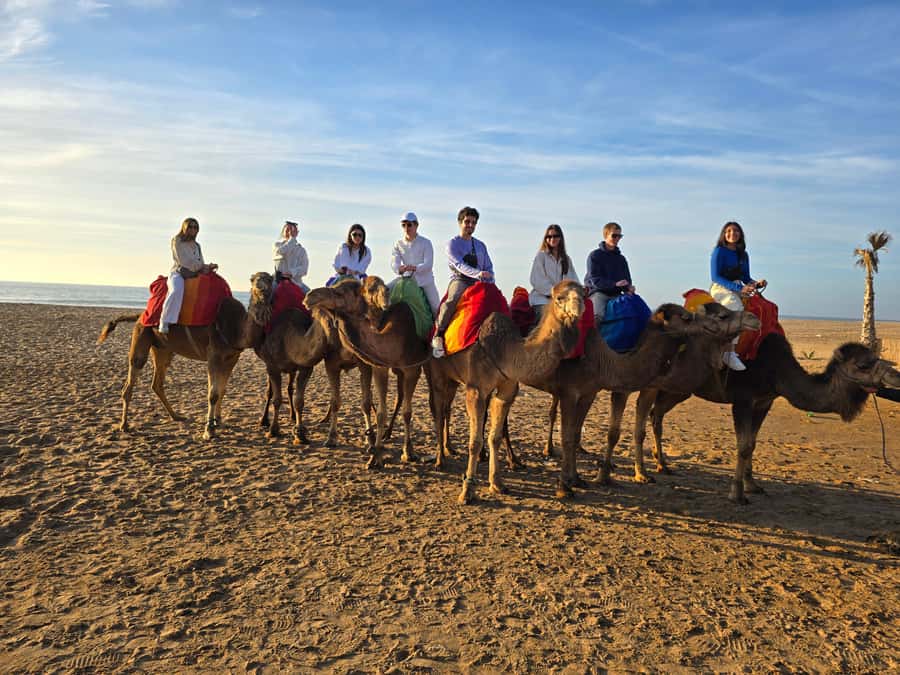 Explore Tangier: Cap Spartel, Cave, & Camel Ride Adventure - What the driver-guide adds to the trip