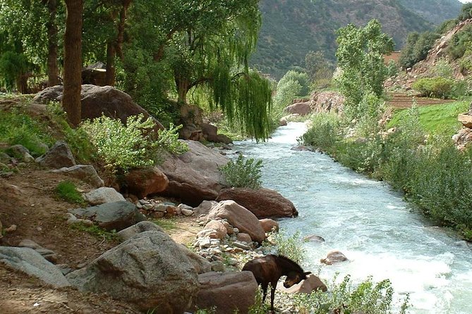 Explore The Best Of Ourika Valley: Departure From Marrakech. - Lunch Beside the River in Setti Fatma