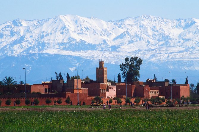 Exploring Marrakesh in half-day sightseeing tour - Bahia Palace: beautiful rooms, limited time