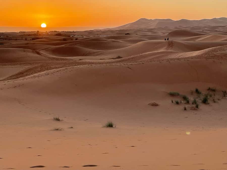 Fes: 3 Days Desert Tour from Fes back to Fez - Day 3: Returning from Merzouga to Fes