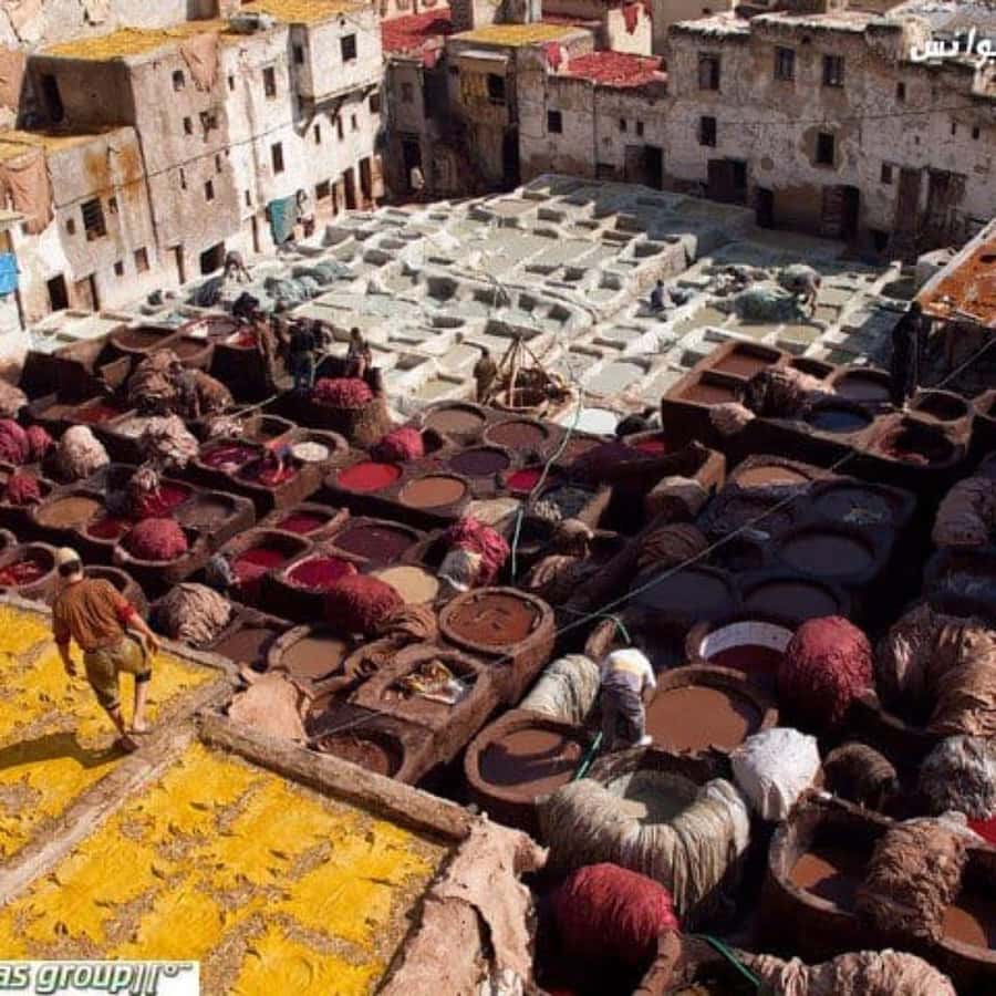 Fes: A Guided Walking Tour Through the Historic Medina - Nejjarine Museum And Traditional Woodwork