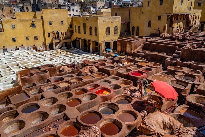 Fes Guided Tours Full Day - The Royal Palace, Mellah, and Fes from Above