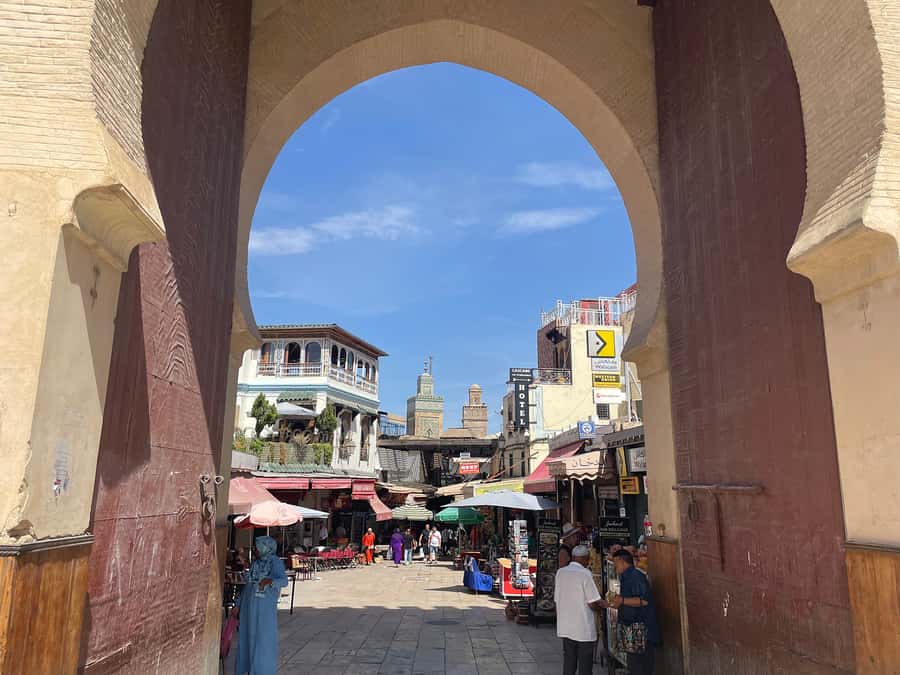 Fes: Medina Guided Tour with Local - Chaouwara Tannery without the hard sell