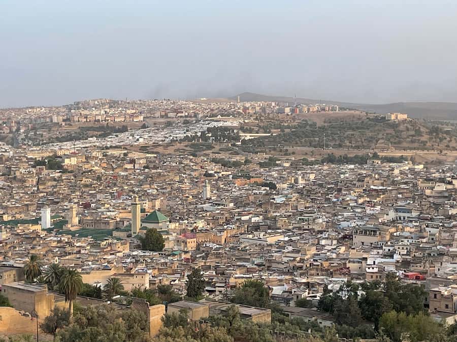 Fes: Medina Guided Tour with Local - The guide’s style and the shopping question
