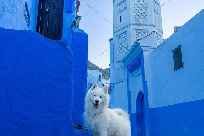 FES TO Chefchaouen Day Trip- luxury Private Tour - The return drive and the real cost of the day