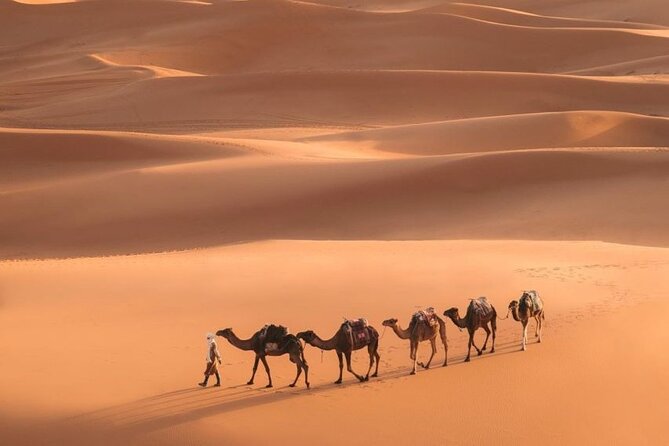 Fes To Marrakech: 3-Day Desert Tour - Sunrise at Erg Chebbi and the road to Todra Gorge