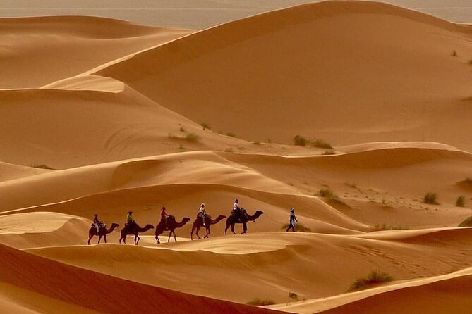 Fes To Marrakech: 3-Day Desert Tour - Day three: Valley of Roses, Ouarzazate, and Ait Ben Haddou