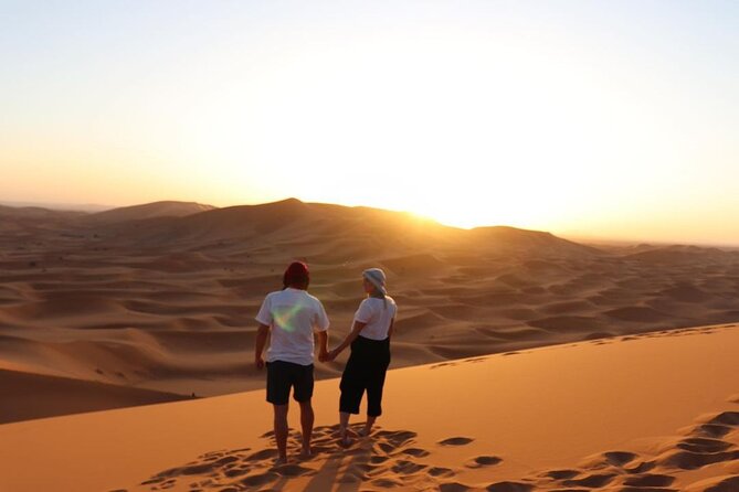 Fes To Marrakech: 3-Day Desert Tour - Day one: cedar forests, Ziz Valley, and the first Sahara night