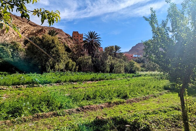 Fes To Marrakech : 3 Days Tour Via The Desert Of Merzouga & Camel - Day two: sunrise, Todra Gorge, and the Dades Valley