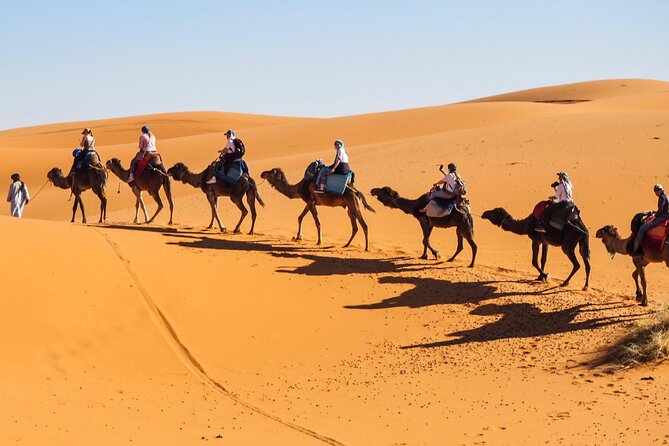Fes To Marrakech : 3 Days Tour Via The Desert Of Merzouga & Camel - Crossing the High Atlas to Marrakech