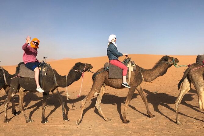 Fes To Marrakech : 3 Days Tour Via The Desert Of Merzouga & Camel - What is included and what you still pay for