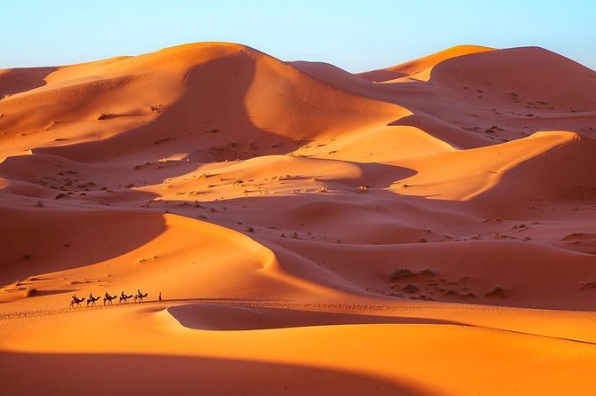 Fes to Marrakech desert tour 3 days - Guides, vehicles, and the human side of the trip