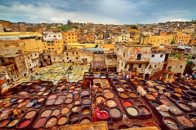 Fez Guided Tour with lunch from Casablanca - Chouara Tannery is fascinating, but not gentle