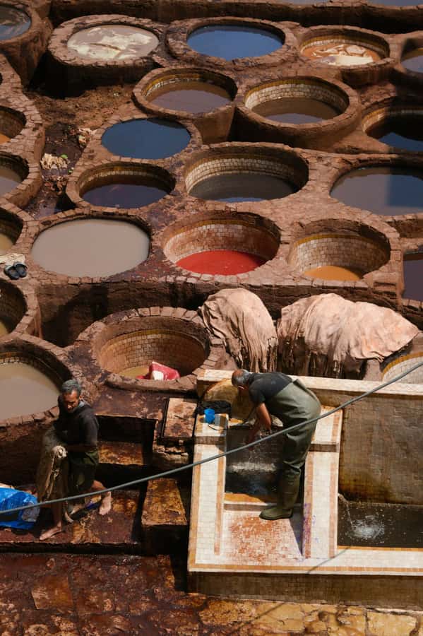 Fez: Guided Walking Tour of the Historic Medina - Who should book this walking tour?