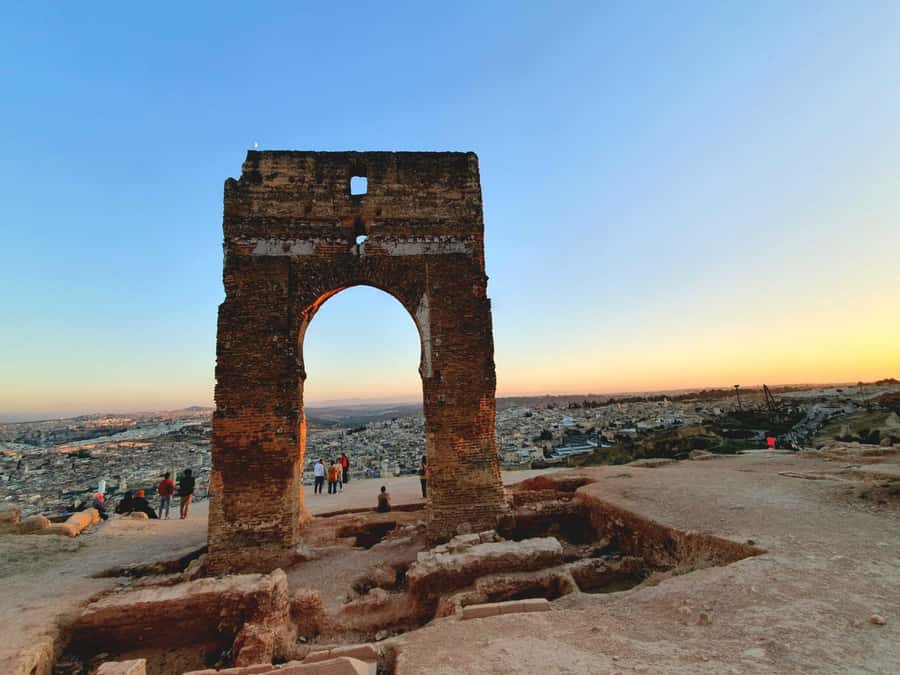 Fez: Guided Walking Tour of the Historic Medina - The tanneries: Fez’s most vivid working tradition