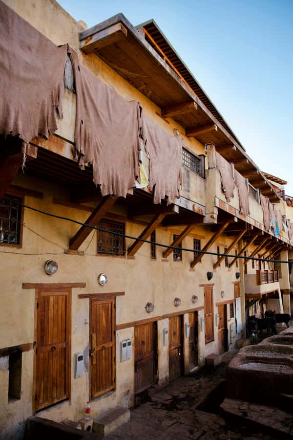Fez: Guided Walking Tour of the Historic Medina - Souks and back lanes: where the tour earns its price