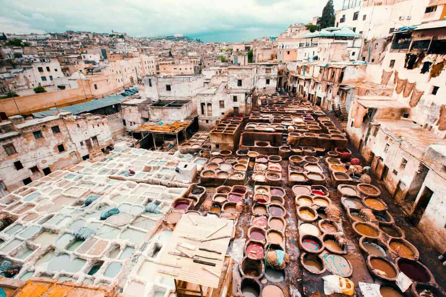 Fez: Half-Day Sightseeing Tour - Key things to know before booking