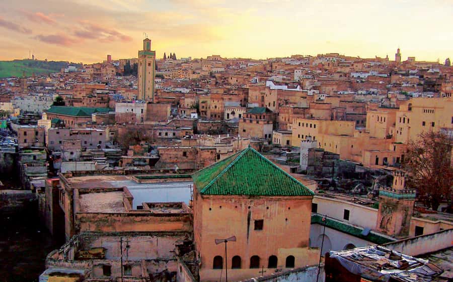 Fez: Half-Day Sightseeing Tour - Why a guide helps inside Fez Medina