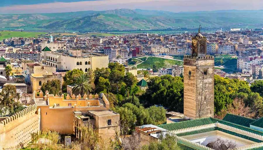 Fez: Half-Day Sightseeing Tour - The leather tannery, Fez’s most memorable stop