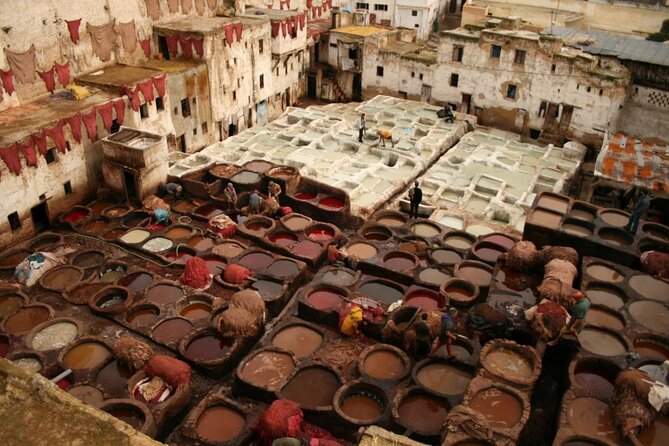 Fez Medina 4-Hour Guided Walking Tour - Key points at a glance