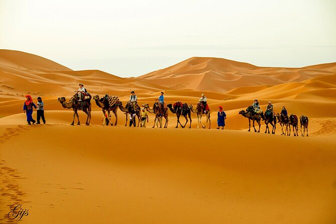 Fez to Marrakech via Merzouga Desert - 3 Day Desert Tour - Five things to know before booking