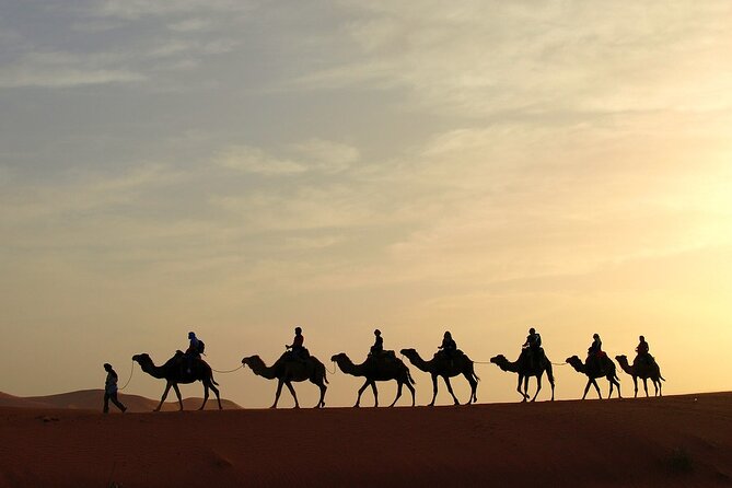 Fez to Marrakech via Merzouga Desert - 3 Day Desert Tour - Vehicle time, group style, and guide quality