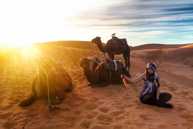 Fez to Marrakech via Merzouga Desert - 3 Day Desert Tour - Who should book this desert tour?