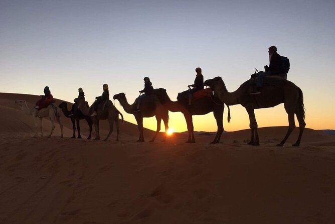 Fez to Marrakech via Merzouga Desert - 3 Day Desert Tour - Day two: sunrise, Rissani, and the Todra Gorge