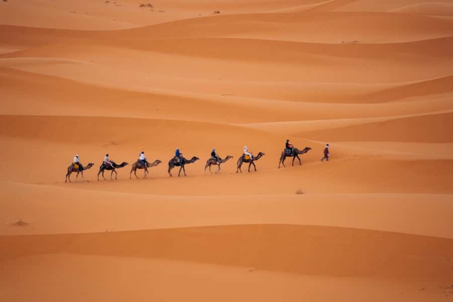 From Agadir: 3-Day Desert Tour to Marrakech - Guides, drivers, and group atmosphere