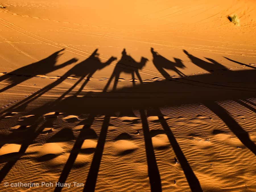 From Agadir: 4×4 Jeep Sahara Desert Tour with Lunch - What this Agadir mini-Sahara tour really is