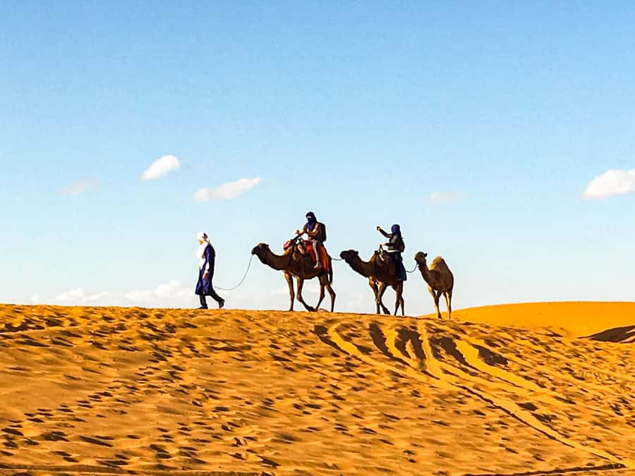 From Agadir: 4×4 Jeep Sahara Desert Tour with Lunch - A morning drive through the Souss-Massa region