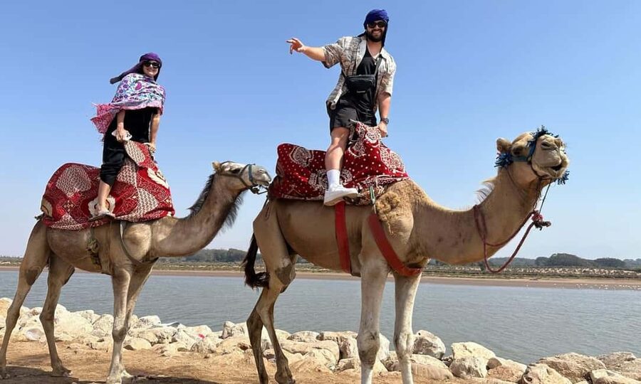From Agadir: Camel Ride and Flamingo Trek - Who will enjoy this experience most