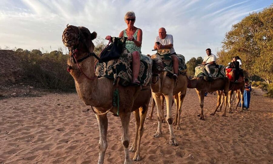 From Agadir: Camel Ride and Flamingo Trek - A low-cost camel ride outside Agadir