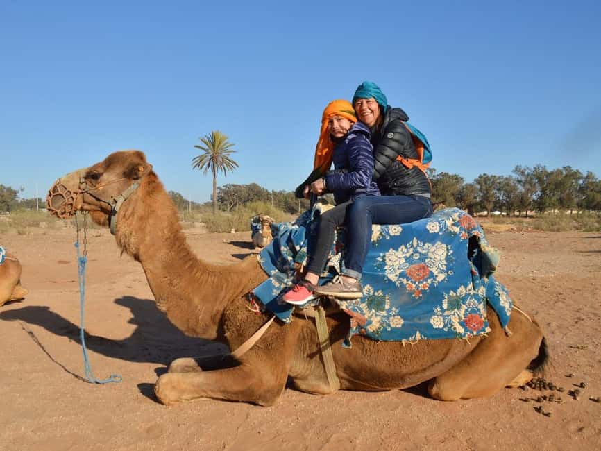 From Agadir: Camel Ride and Flamingo Trek - Getting comfortable on a gentle but bouncy camel