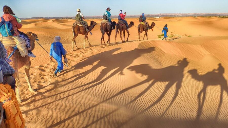 From Agadir: Camel Ride and Flamingo Trek - Views of dunes, ocean, and ordinary Agadir