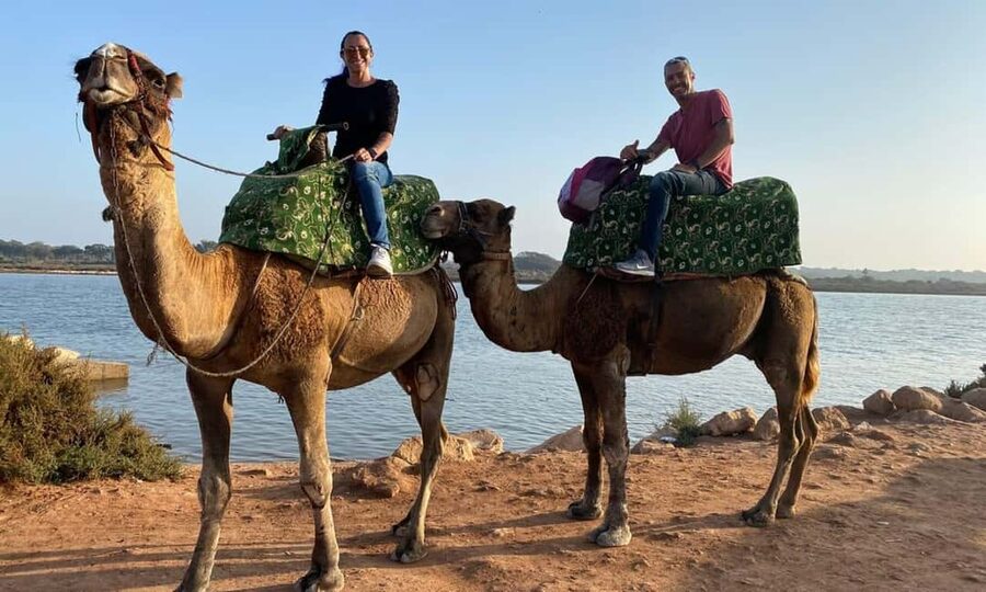 From Agadir: Camel Ride and Flamingo Trek - Mint tea, biscuits, photos, and the end of the ride