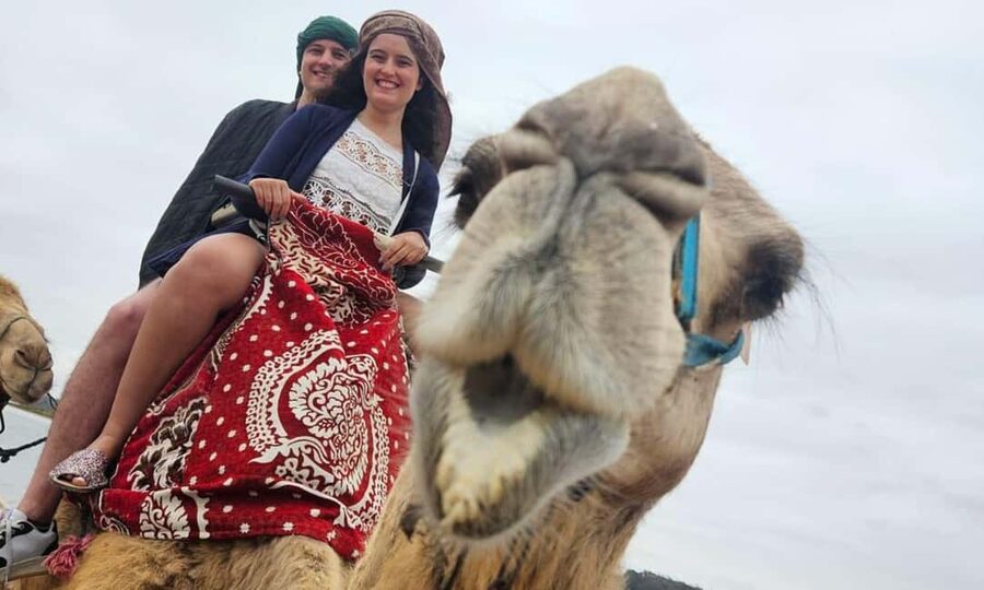 From Agadir: Camel Ride and Flamingo Trek - Hotel pickup and the short ride to the camels