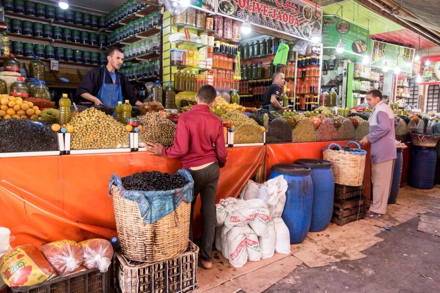 From Agadir: City Tour with Hotel or Port Transfers - Learn how argan oil is made