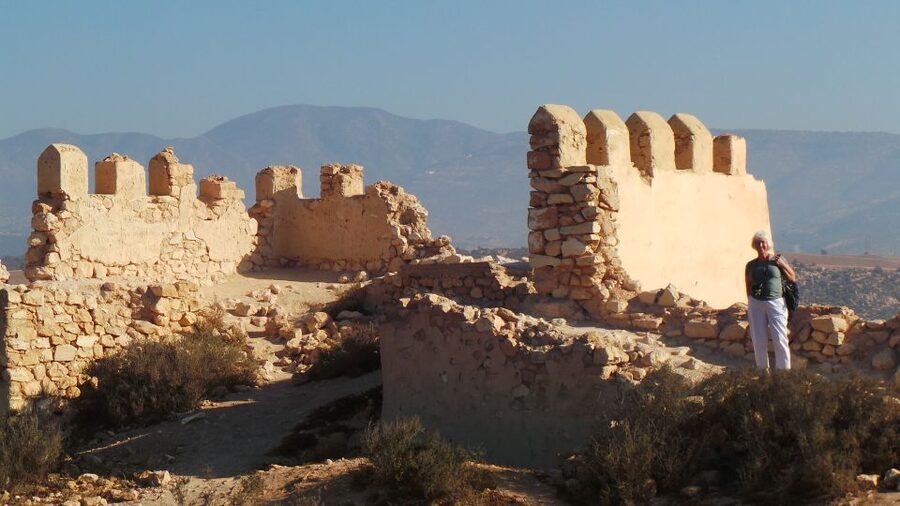 From Agadir: City Tour with Hotel or Port Transfers - Marina and port views may be part of the route