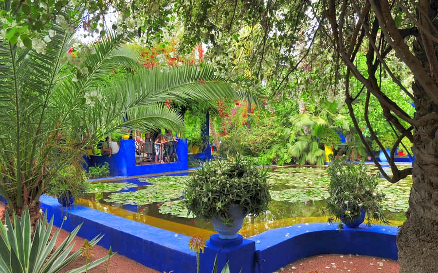 From Agadir: Guided Day Trip to Marrakech - Five useful things to know before booking