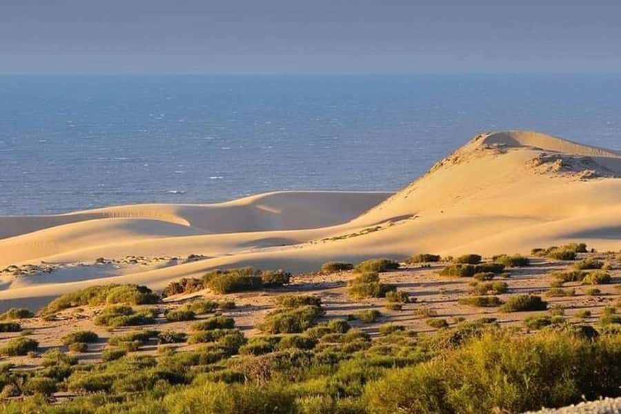 From Agadir: Jeep Desert Safari with Lunch and Camel Ride - Key points to know before you book