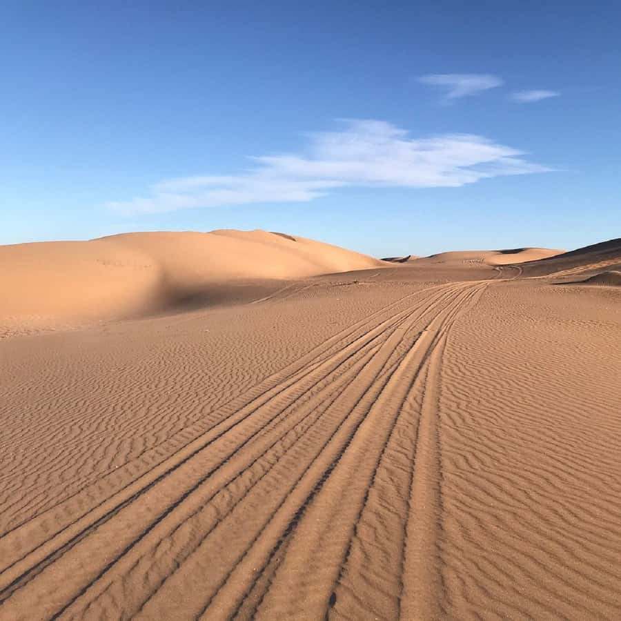 From Agadir: Jeep Desert Safari with Lunch and Camel Ride - Why this Agadir day trip works