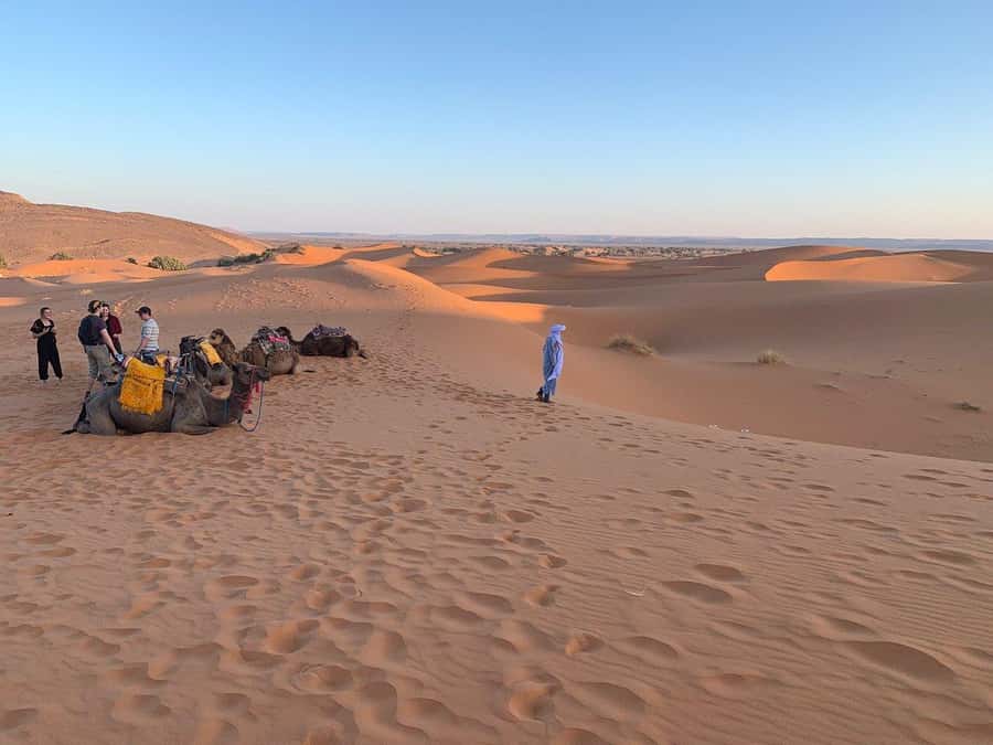 From Agadir: Jeep Desert Safari with Lunch and Camel Ride - Camel ride and the mini Sahara dunes
