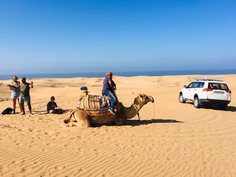 From Agadir: Mini Sahara Day Tour with Lunch - Watching for birds along the Souss Massa River