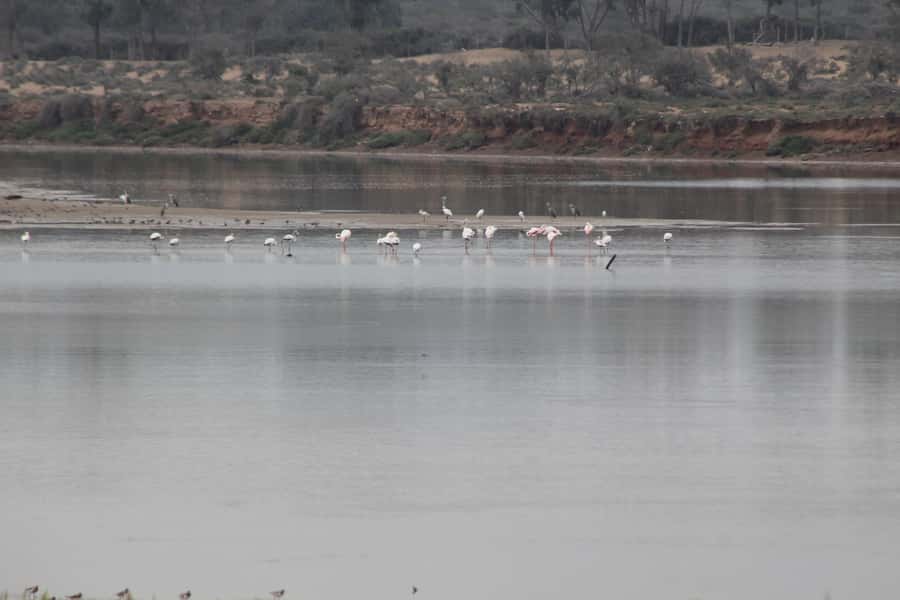 From Agadir or Taghazout: Camel Ride Berber Tour Experience - Key points to know before booking